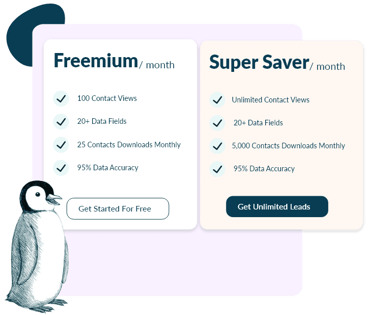 Connect At Scale With Unbelievably Accessible Plans