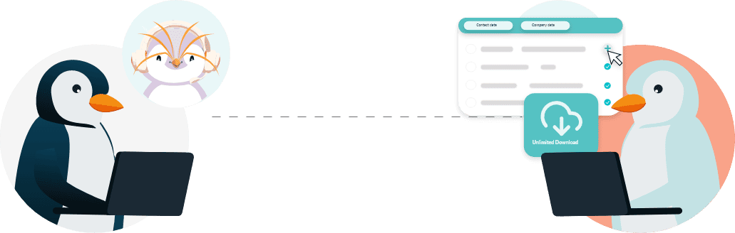 Reachstream About Us