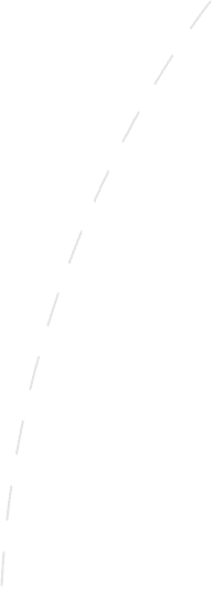 Path 252683