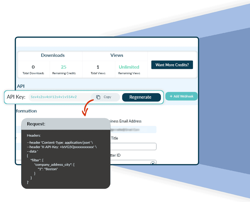 Custom API Plan Overview