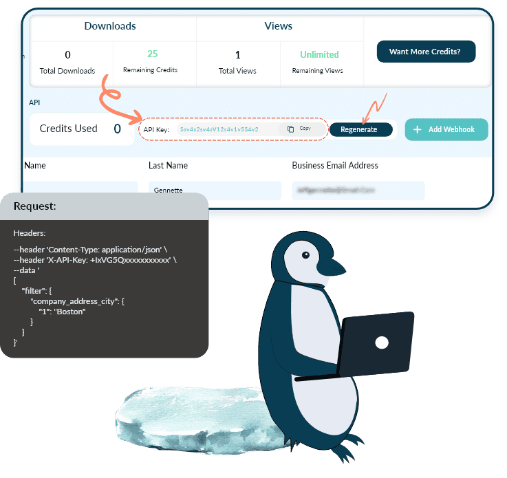 ReachStream's API