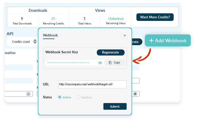 Generate Webhook API Key