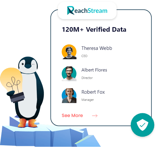 ReachStream is best B2B data platform.