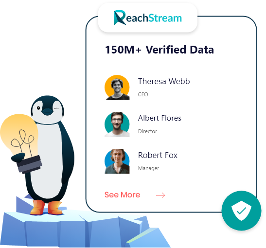 Reachstream Is Best B2B Data Platform.